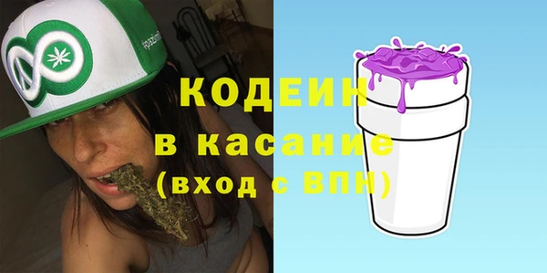 прущие грибы Вязники