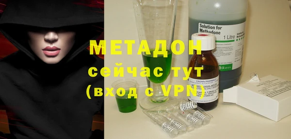 прущие грибы Вязники