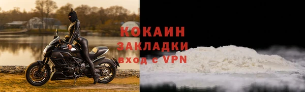 прущие грибы Вязники