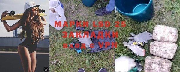 прущие грибы Вязники
