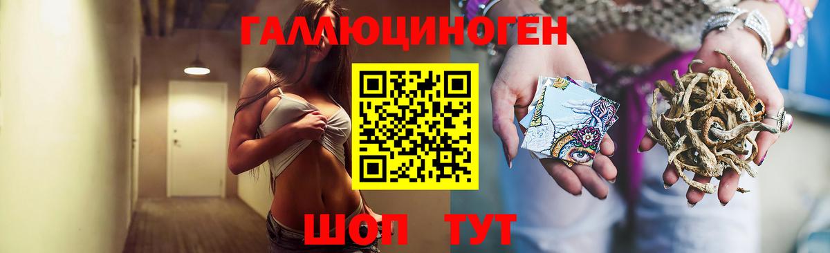 Псилоцибиновые грибы ЛСД Гусь-Хрустальный